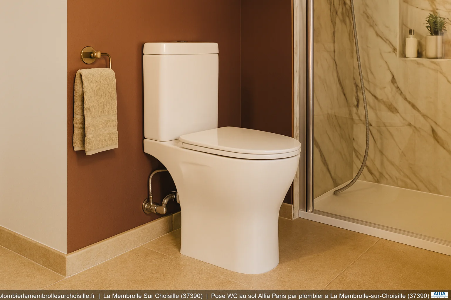 Pose WC au sol Allia Paris par plombier a La Membrolle-sur-Choisille (37390)