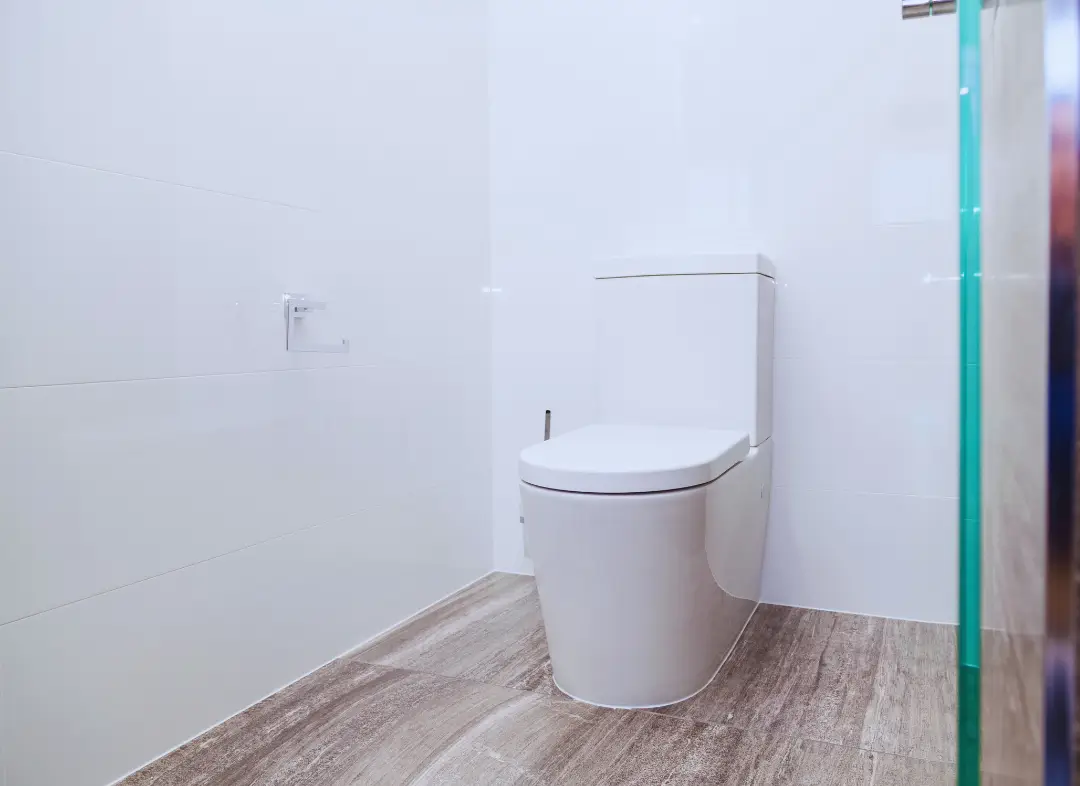 Remplacement de wc La Membrolle-sur-Choisille